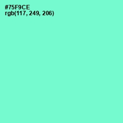 #75F9CE - Aquamarine Color Image