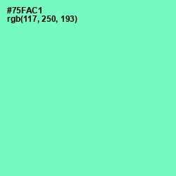 #75FAC1 - Aquamarine Color Image