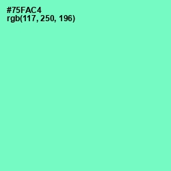 #75FAC4 - Aquamarine Color Image