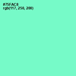 #75FAC8 - Aquamarine Color Image