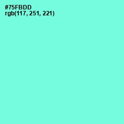 #75FBDD - Aquamarine Color Image