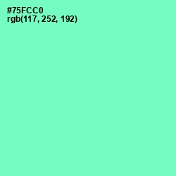 #75FCC0 - Aquamarine Color Image