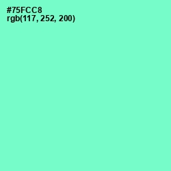 #75FCC8 - Aquamarine Color Image