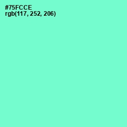 #75FCCE - Aquamarine Color Image