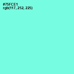 #75FCE1 - Aquamarine Color Image