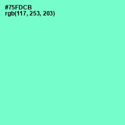 #75FDCB - Aquamarine Color Image