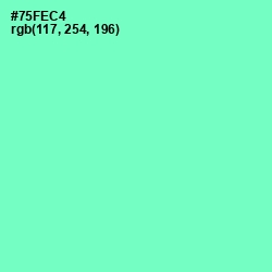 #75FEC4 - Aquamarine Color Image