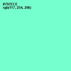 #75FECE - Aquamarine Color Image