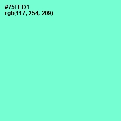 #75FED1 - Aquamarine Color Image