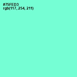 #75FED3 - Aquamarine Color Image