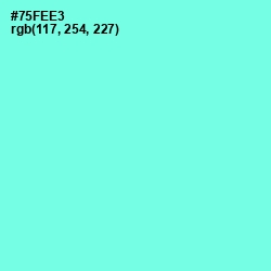 #75FEE3 - Aquamarine Color Image