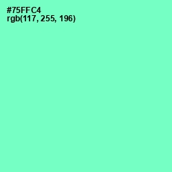 #75FFC4 - Aquamarine Color Image