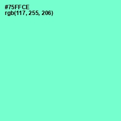 #75FFCE - Aquamarine Color Image