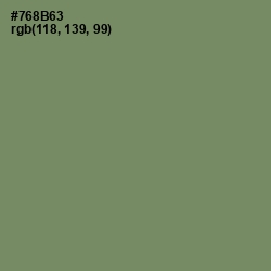 #768B63 - Camouflage Green Color Image