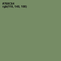#768C64 - Camouflage Green Color Image