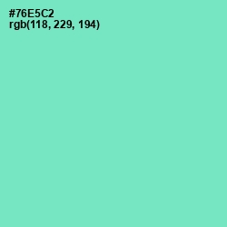 #76E5C2 - Aquamarine Color Image