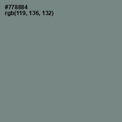 #778884 - Blue Smoke Color Image