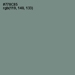 #778C85 - Blue Smoke Color Image