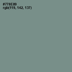 #778E89 - Blue Smoke Color Image