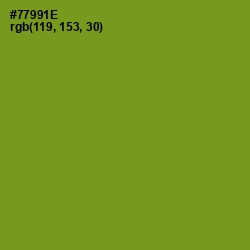 #77991E - Trendy Green Color Image