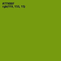 #779B0F - Limeade Color Image