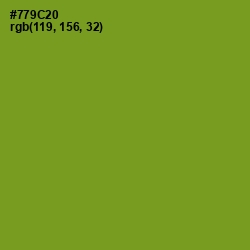 #779C20 - Olive Drab Color Image