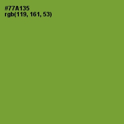 #77A135 - Wasabi Color Image