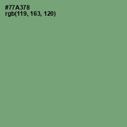 #77A378 - Fern Color Image