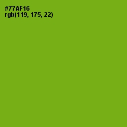 #77AF16 - Lima Color Image