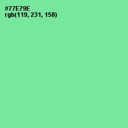 #77E79E - De York Color Image