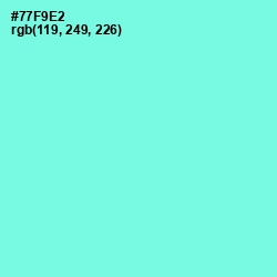 #77F9E2 - Aquamarine Color Image