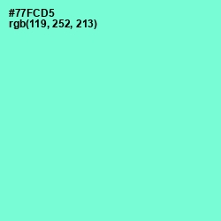 #77FCD5 - Aquamarine Color Image