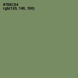 #788C64 - Camouflage Green Color Image