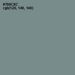 #788C8C - Blue Smoke Color Image