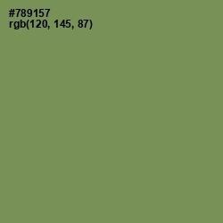 #789157 - Glade Green Color Image