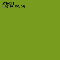 #789C1E - Trendy Green Color Image