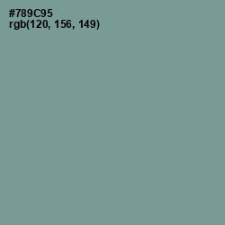 #789C95 - Juniper Color Image