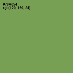 #78A054 - Asparagus Color Image