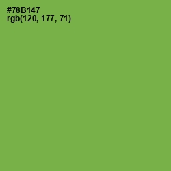 #78B147 - Asparagus Color Image