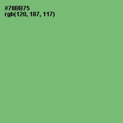 #78BB75 - Fern Color Image