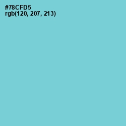 #78CFD5 - Bermuda Color Image