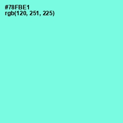 #78FBE1 - Aquamarine Color Image