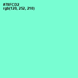 #78FCD2 - Aquamarine Color Image