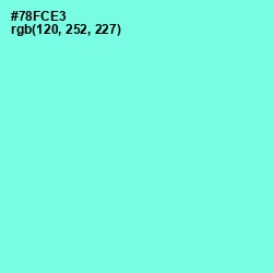#78FCE3 - Aquamarine Color Image