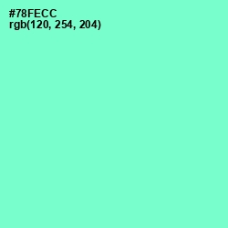 #78FECC - Aquamarine Color Image
