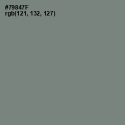 #79847F - Xanadu Color Image