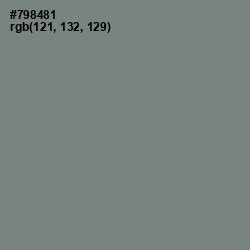 #798481 - Blue Smoke Color Image