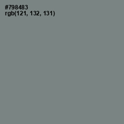 #798483 - Blue Smoke Color Image