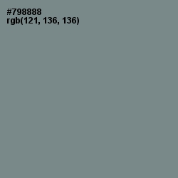 #798888 - Blue Smoke Color Image