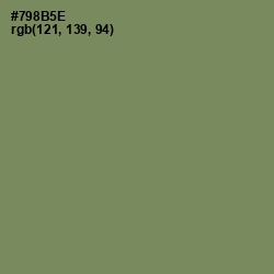 #798B5E - Glade Green Color Image